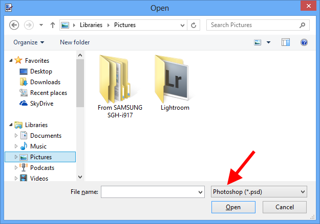 Paint.NET PSD Plugin Paint.NET PSD Plugin